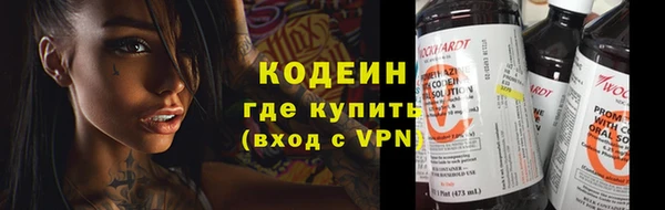 прущие грибы Абаза