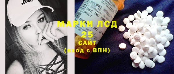 прущие грибы Абаза