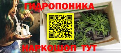 стафф Обнинск