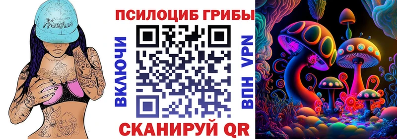 Псилоцибиновые грибы Magic Shrooms  купить закладку  Челябинск 